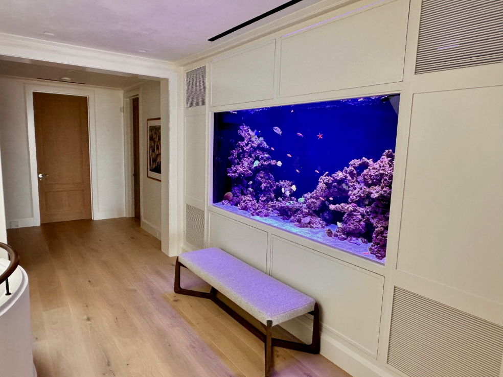 800 gallon living reef Display