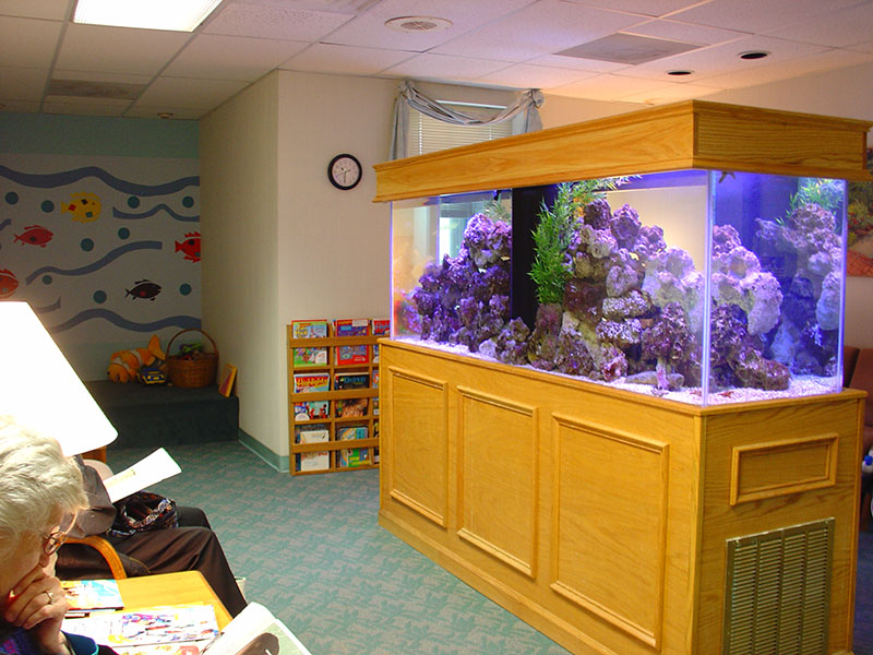 Dentist Offices Armco Aquariums Serving Philadelphia