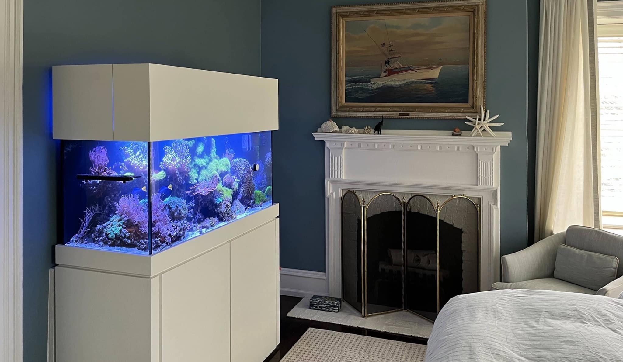 75-gallon bedroom reef