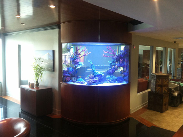 4 Beautiful Aquariums Installed by New Jersey's Armco Aquatics - Corner Of A Common Area 768x574