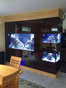 modern fish tank with accessories