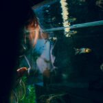 How Much Does Aquarium Maintenance Cost?