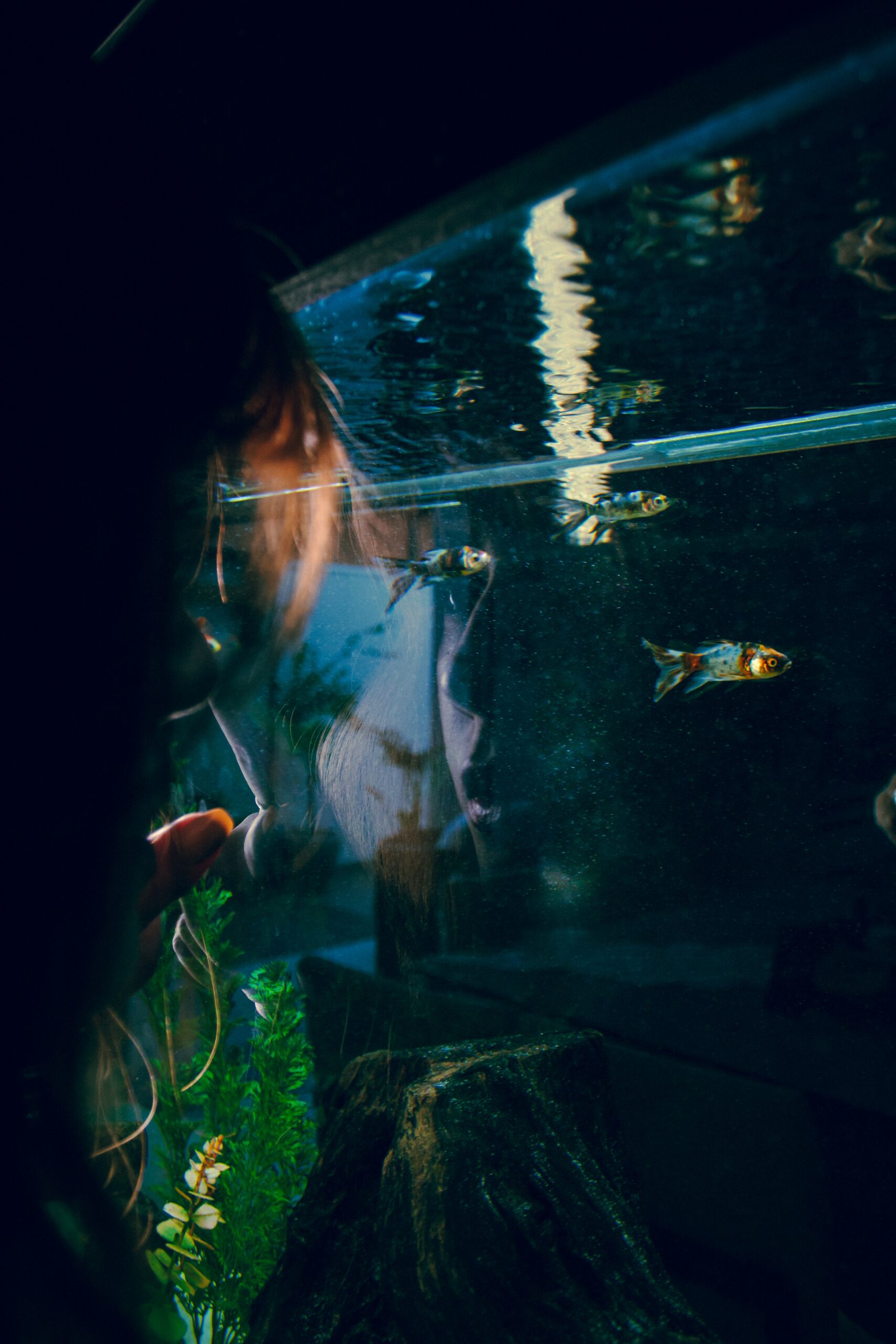 Aquarium Cleaning Service Cost: Are the Pros Worth It?