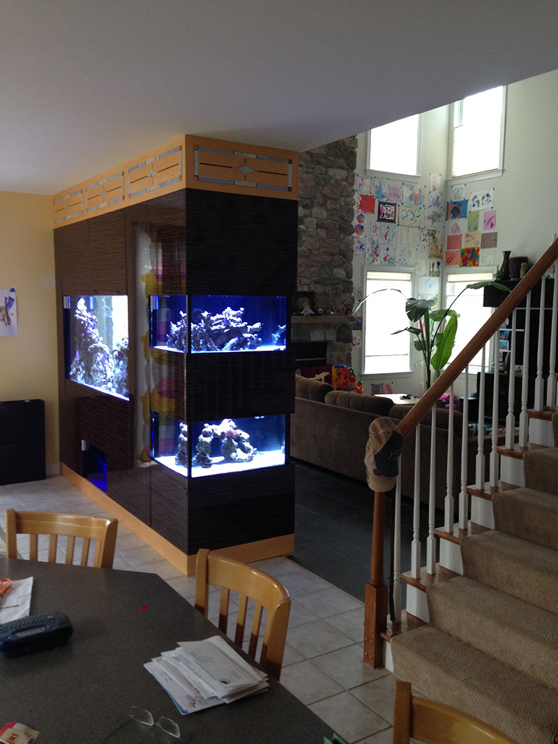 aquarium maintenance companies