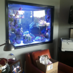 fish tank cleaning services near me