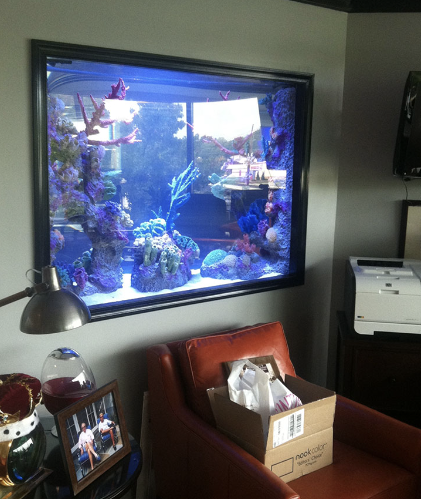 Aquarium & Fish Tank Cleaning Service