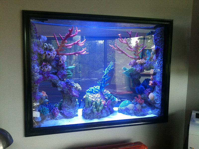 Custom aquarium tank