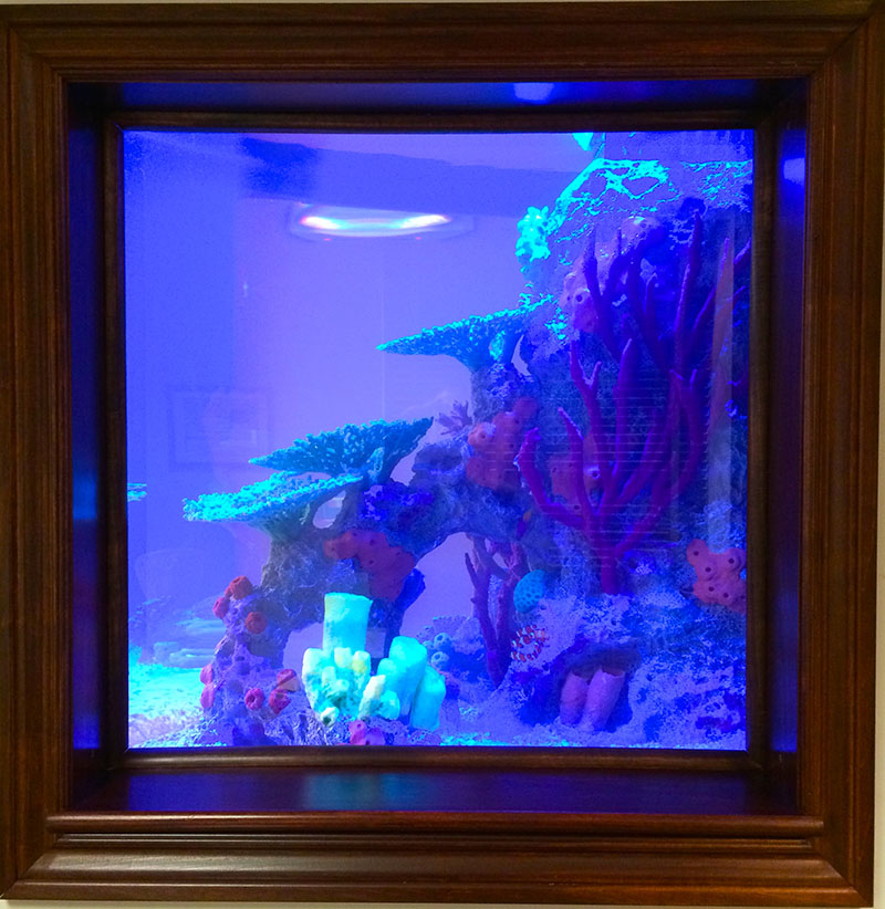 fish tank designer