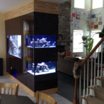 custom home aquariums