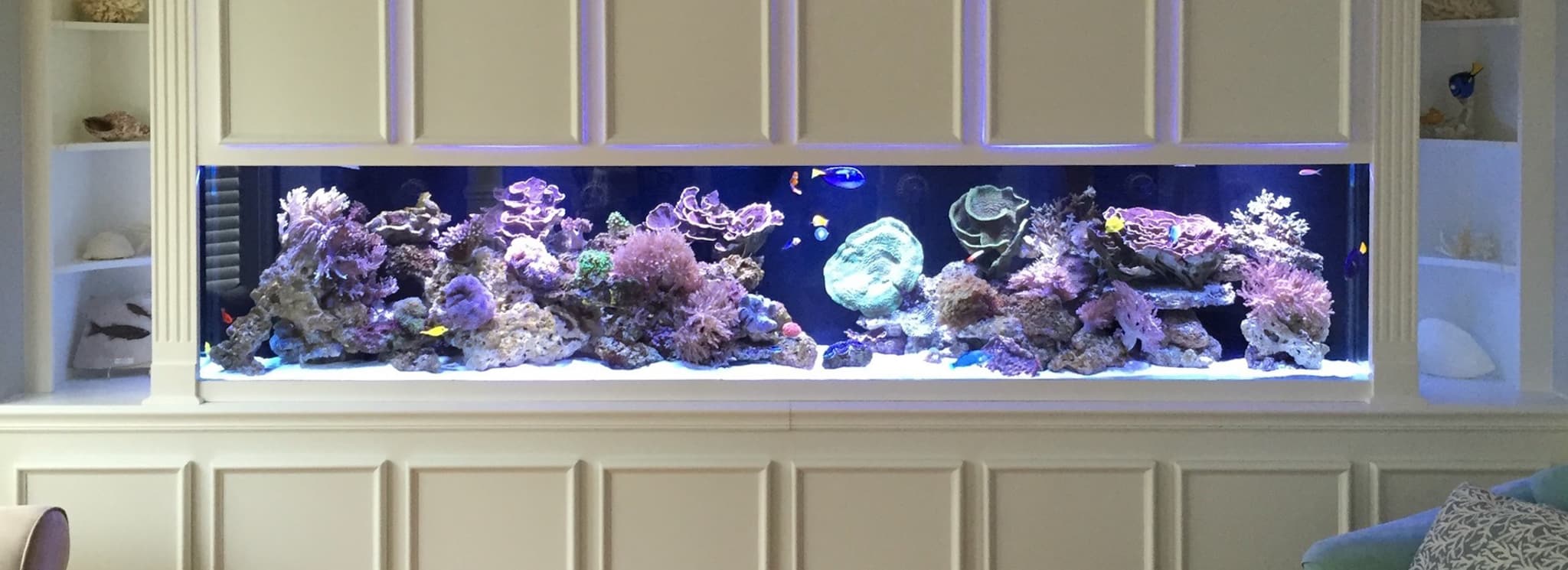 10 Foot Mixed Reef